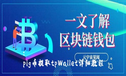 :
pig币提取tpWallet详细教程