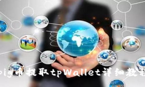 :
pig币提取tpWallet详细教程