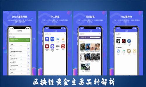 
区块链黄金主要品种解析