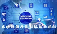 区块链国外最新玩法大揭